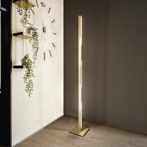 Lampadar LED Ling, alamă, înălțime 165 cm, dimabil, metal