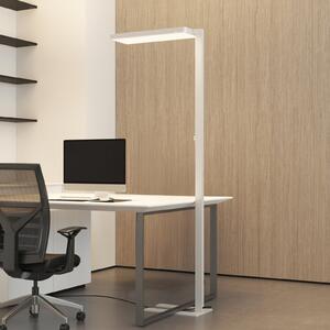 Arcchio Lampadar LED Timon, 195 cm, alb, 54 W, aluminiu, reglabil, Alb, Studiu / Birou, Aluminiu, Modern, Umbrelă în picioare