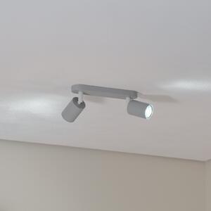 Livia spot de plafon, gri, 35 cm, 2 becuri, metal, GU10