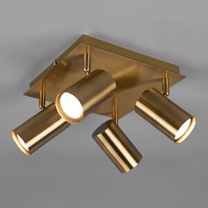 Trio Lighting Spot de plafon Marley, alamă antică, 4 becuri, reglabil, Bronz / Alamă Veche, Camera de zi / sufragerie, Metal, Modern