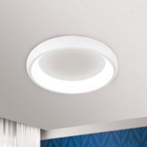 ORION Plafonieră LED Venur emisie lumină interior 41cm, reglabil, Alb, Camera de zi / sufragerie, Metal, Modern