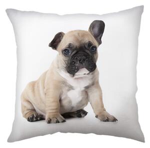 Pernă de copii cu imprimeu - Bulldog | 40 x 40 cm