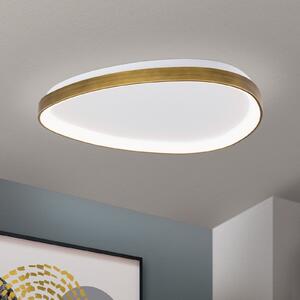 ORION Plafonieră Charlie LED, Ø 65 cm, alb opal, culoare alamă antică, Bronz / Alamă Veche, Camera de zi / sufragerie, Plastic, Modern