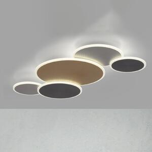 Q-Smart-Home Paul Neuhaus Q-Piato plafonieră LED 5 becuri, reglabil, Multicolor, Camera de zi / sufragerie, Metal, Modern, Plafon cu flacără multiplă