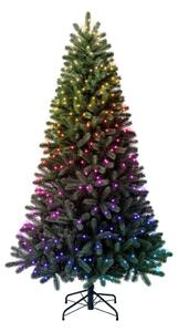 Twinkly TG70P4425P01 - Brad de Crăciun LED RGBW TREE, 435 LED-uri, 2,1 m, Wi-Fi