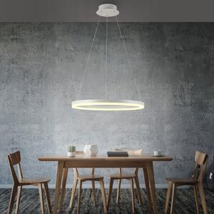 Paul Neuhaus Lampă suspendată LED Titus, Ø 60 cm, alb, dimabil, reglabil, Alb, Camera de zi / sufragerie, Metal, Modern
