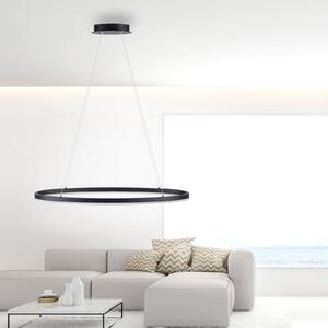 Paul Neuhaus Titus lampă suspendată LED, ovală 80x39cm, reglabil, Negru, Camera de zi / sufragerie, Metal, Modern
