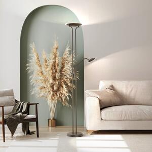 FISCHER & HONSEL Lampadar LED Tallri, negru, 180 cm, 2 becuri, metal, CCT, reglabil, Negru, Camera de zi / sufragerie, Metal, Modern
