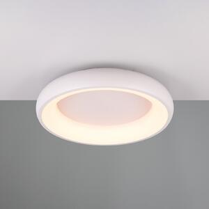 Trio Lighting Plafonieră LED Cardona, Ø 46,5 cm, alb mat, metal, CCT, reglabil, Alb, Camera de zi / sufragerie, Metal, Modern