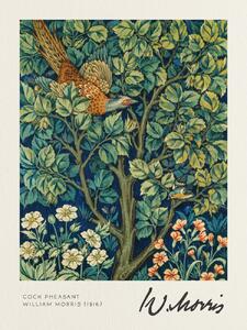 Artă imprimată Cock Pheasant - William Morris, (30 x 40 cm)