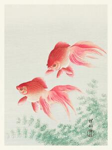 Artă imprimată Two Veil Goldfish (Japandi Vintage) - Ohara Koson, (30 x 40 cm)