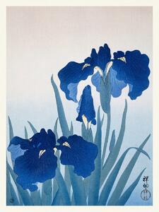 Artă imprimată Blue Iris Flowers (Japandi Vintage) - Ohara Koson, (30 x 40 cm)