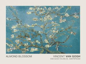 Artă imprimată Almond Blossom (Museum Vintage Blue Floral) - Vincent van Gogh, (40 x 30 cm)