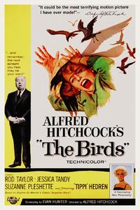 Reproducere The Birds / Alfred Hitchcock / Tippi Hedren (Retro Movie), (26.7 x 40 cm)