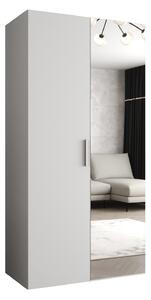 Dulap de haine 100 cm Borry 2 (alb + Argintiu). 1125803