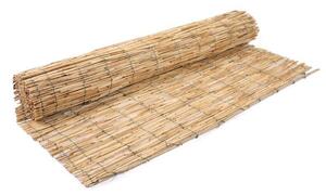 Panou de gard tip paravan din stuf 300 x 150 cm