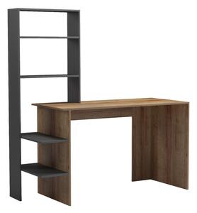 Birou de lucru cu rafturi Bivoro Maro 146x55x129 cm