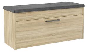 Pantofar (dulap pantofi) Puntuable 1 (stejar sonoma). Promo -14%. 1132601