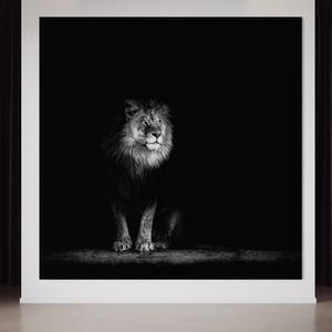Tablou Canvas Premium LuxCanva® A1258, Leu Alb-Negru ,Animal, Regele Junglei, Safari, Dormitor, Decorativ
