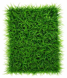 Panou decorativ din verdeață artificială, Magie Verde- UV 60x40cm