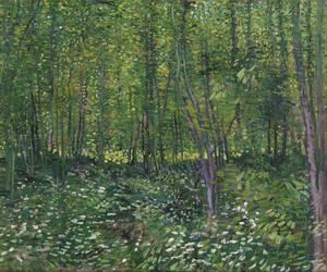 Reproducere Trees and Undergrowth, 1887, Vincent van Gogh