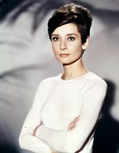 Fotografie Audrey Hepburn In 'Wait Until Dark', Archive Photos