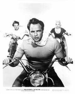 Fotografie Mary Murphy and Marlon Brando In 'The Wild One', Archive Photos