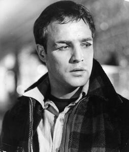 Fotografie Marlon Brando In 'On The Waterfront', Archive Photos