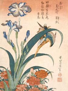 Hokusai, Katsushika - Artă imprimată Kingfisher, (30 x 40 cm)