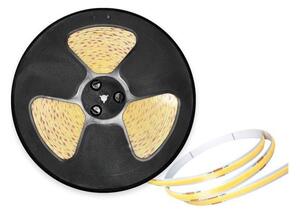 Bandă LED TRAMO pentru exterior, 50 W, 24 V, 5 m, IP65, 6500 K