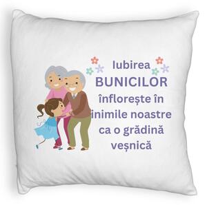 Perna Decorativa Fluffy, pentru Bunici 2, 40x40 cm, Alba, Husa Detasabila, Burduf