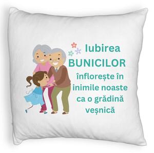 Perna Decorativa Fluffy, pentru Bunici 6, 40x40 cm, Alba, Husa Detasabila, Burduf