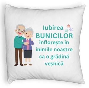 Perna Decorativa Fluffy, pentru Bunici 5, 40x40 cm, Alba, Husa Detasabila, Burduf