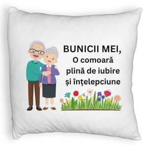 Perna Decorativa Fluffy, pentru Bunici 4, 40x40 cm, Alba, Husa Detasabila, Burduf