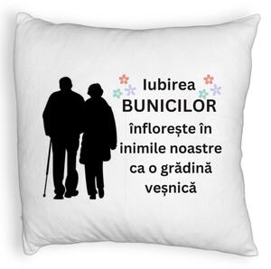 Perna Decorativa Fluffy, pentru Bunici 1, 40x40 cm, Alba, Husa Detasabila, Burduf