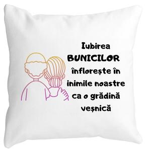 Perna Decorativa pentru Bunici 10, 40x40 cm, Alba, Mata, Husa Detasabila, Burduf