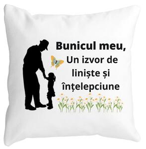 Perna Decorativa pentru Bunicul 5, 40x40 cm, Alba, Mata, Husa Detasabila, Burduf