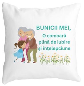 Perna Decorativa pentru Bunici 3, 40x40 cm, Alba, Mata, Husa Detasabila, Burduf