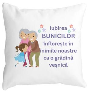 Perna Decorativa pentru Bunici 2, 40x40 cm, Alba, Mata, Husa Detasabila, Burduf