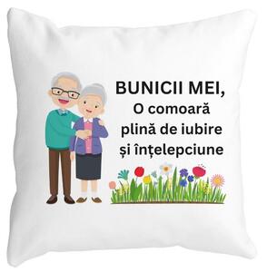 Perna Decorativa pentru Bunici 4, 40x40 cm, Alba, Mata, Husa Detasabila, Burduf