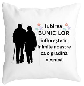 Perna Decorativa pentru Bunici 1, 40x40 cm, Alba, Mata, Husa Detasabila, Burduf