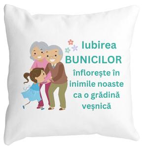 Perna Decorativa pentru Bunici 6, 40x40 cm, Alba, Mata, Husa Detasabila, Burduf