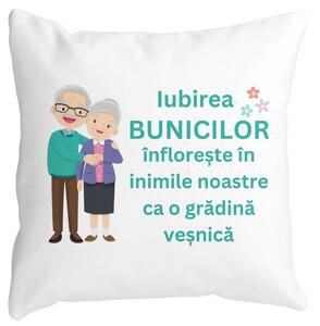 Perna Decorativa pentru Bunici 5, 40x40 cm, Alba, Mata, Husa Detasabila, Burduf
