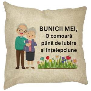 Perna Decorativa pentru Bunici 4, 40x40 cm, Husa Detasabila, Burduf