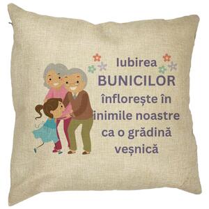 Perna Decorativa pentru Bunici 2, 40x40 cm, Husa Detasabila, Burduf