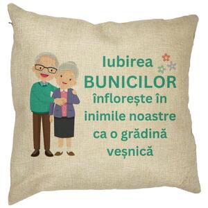 Perna Decorativa pentru Bunici 5, 40x40 cm, Husa Detasabila, Burduf