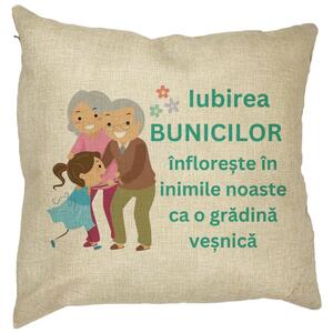 Perna Decorativa pentru Bunici 6, 40x40 cm, Husa Detasabila, Burduf