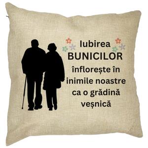 Perna Decorativa pentru Bunici 1, 40x40 cm, Husa Detasabila, Burduf