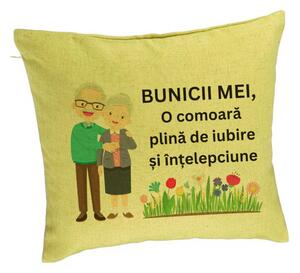 Perna Decorativa pentru Bunici 4, 40x40 cm, Verde, Husa Detasabila, Burduf
