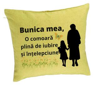 Perna Decorativa pentru Bunica 18, 40x40 cm, Verde, Husa Detasabila, Burduf